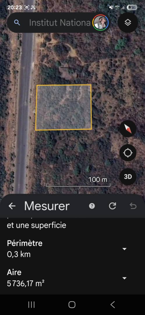 Troque
